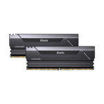 BIWIN HX100 64GB RAM DDR5 32X2 6000MHZ CL30 BK