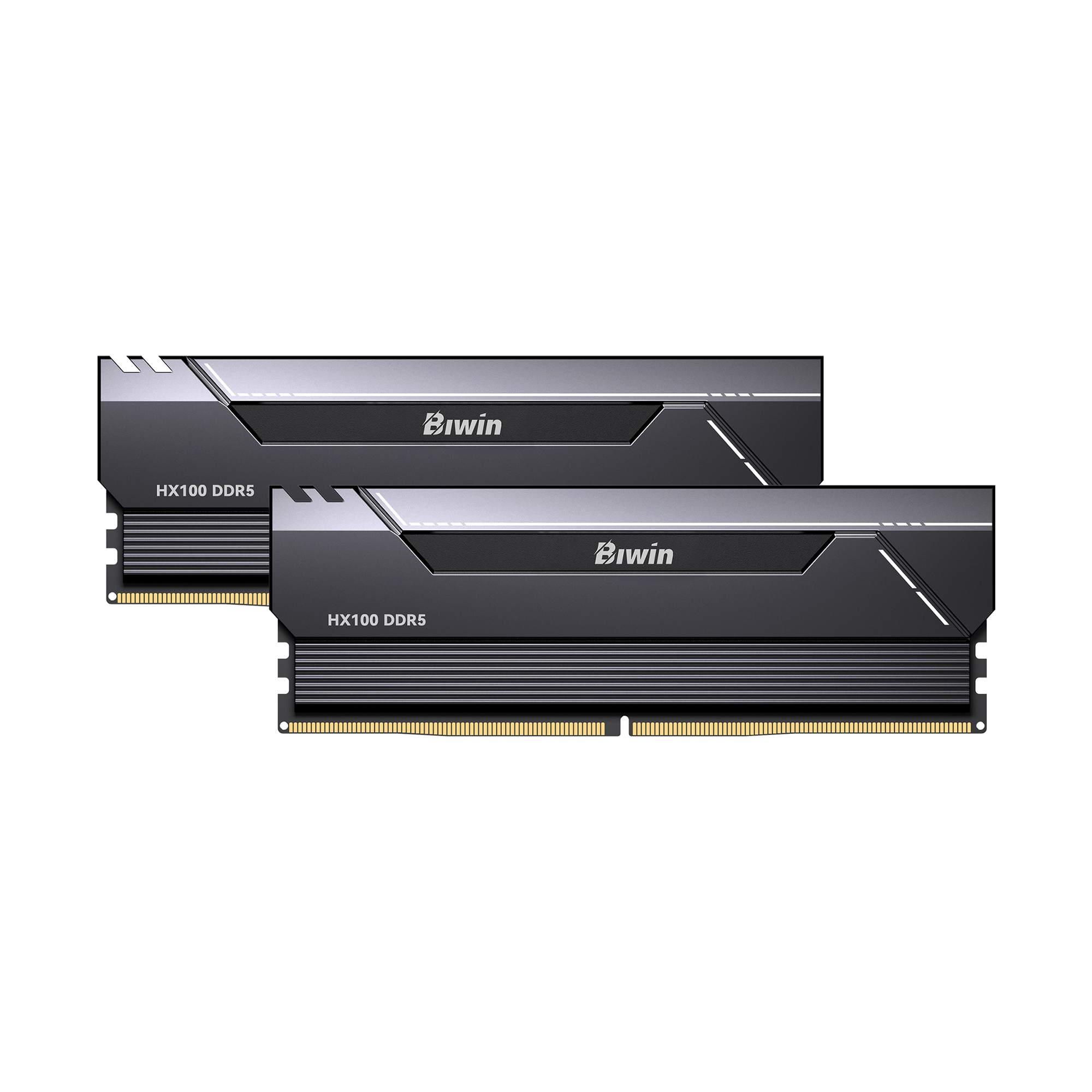 1-biwin-hx100-memory 1 biwin hx100 memory