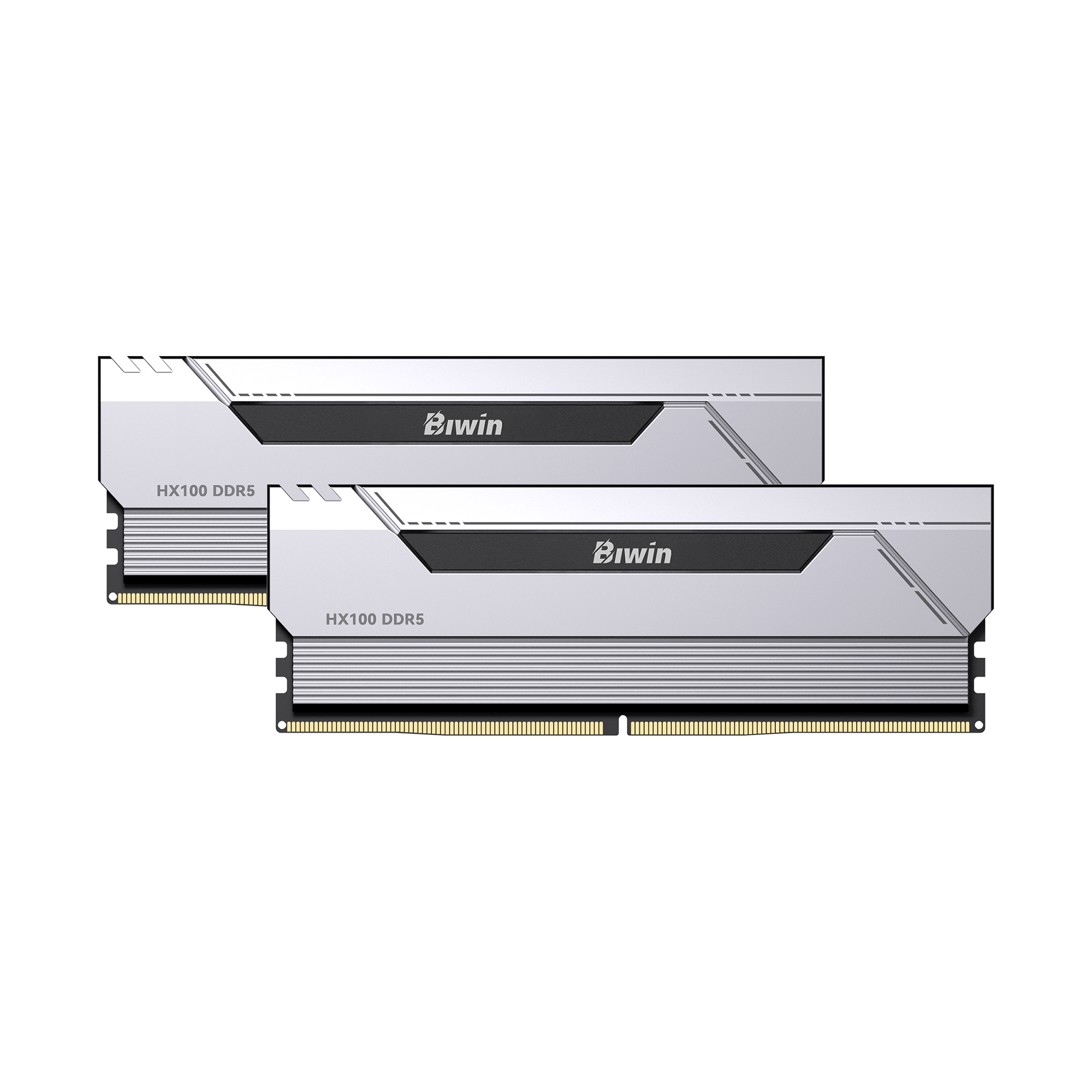 2-biwin-hx100-memory-silver 2 biwin hx100 memory silver